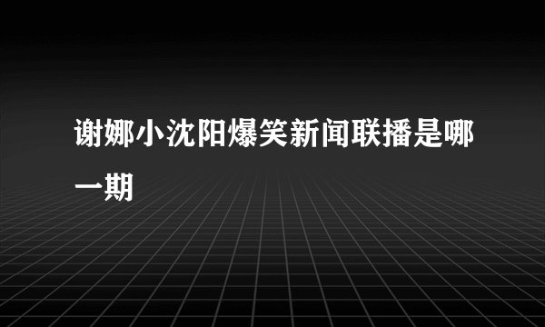 谢娜小沈阳爆笑新闻联播是哪一期