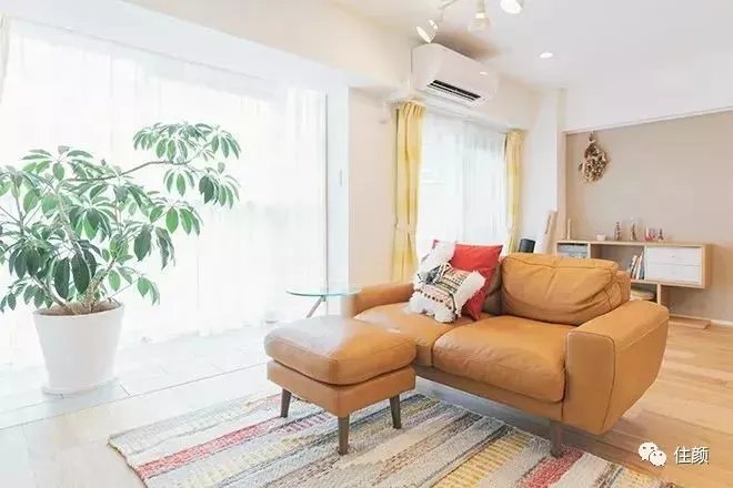 买房、独居、不婚、不生,这届女性实在是太牛了!