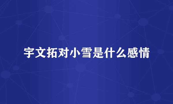 宇文拓对小雪是什么感情