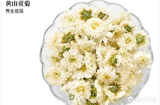 贡菊是白菊花吗?
