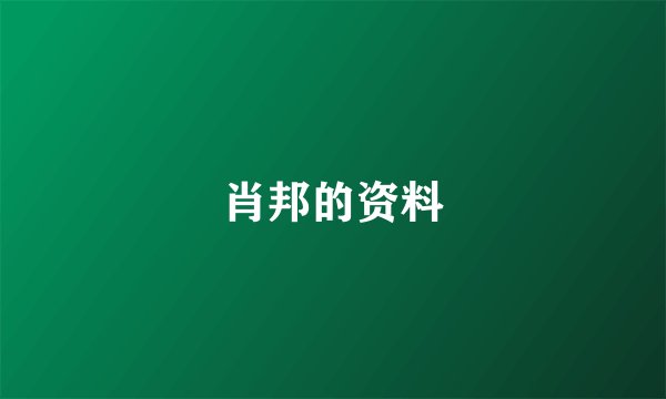 肖邦的资料