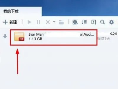 为什么现在用迅雷下载,老是说BT文件解析失败,或者不能下载,手机除