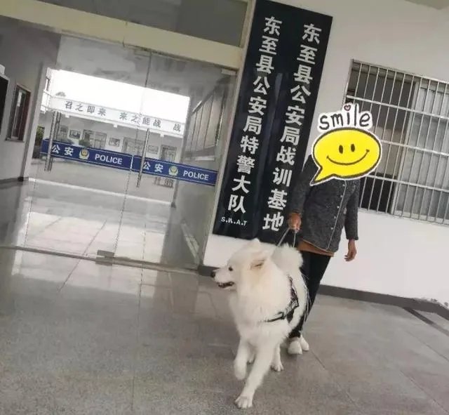 如何看待萨摩耶派出所报案这件事情?