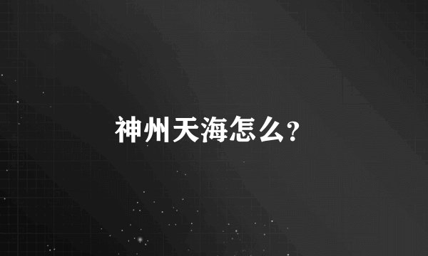 神州天海怎么？