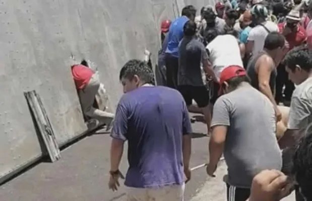 运猪车侧翻20吨活猪遭村民疯抢 网友:原来抢猪不分国界啊