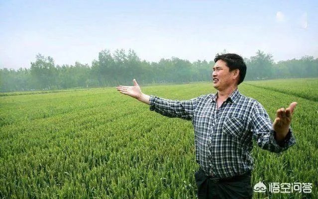 朱之文唱哪一首歌一夜成名?