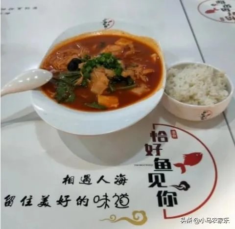 特色饭店加盟品牌哪个好?