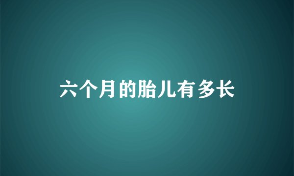 六个月的胎儿有多长