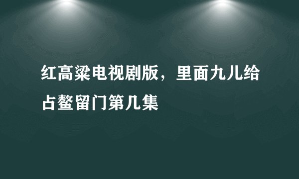 红高粱电视剧版，里面九儿给占鳌留门第几集