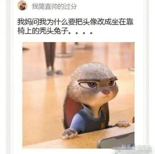 有没有让人笑得停不下来的图片或笑话或视频,可以分享一下吗?