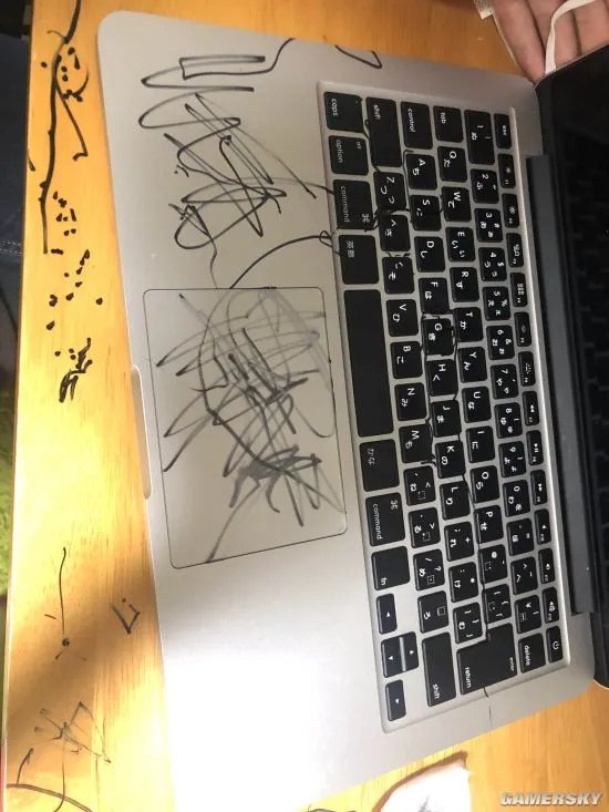血压上来了 网友晒被熊孩子毁掉的笔记本电脑