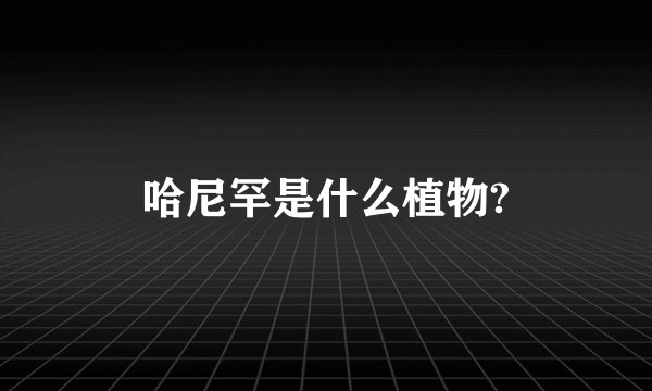 哈尼罕是什么植物?
