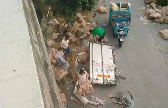 运猪车侧翻20吨活猪遭村民疯抢 网友:原来抢猪不分国界啊