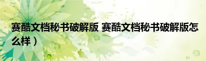 赛酷文档秘书破解版 赛酷文档秘书破解版怎么样）