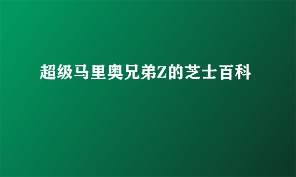 超级马里奥兄弟Z的芝士百科