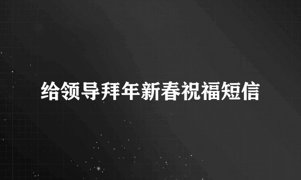 给领导拜年新春祝福短信