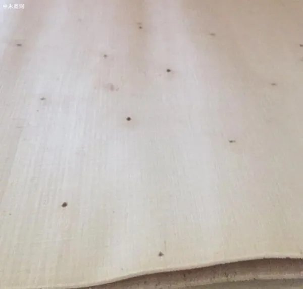 杨木木皮价格谁知道啊 进来看下！！
