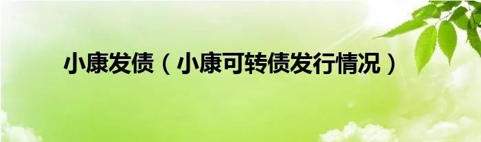 小康发债（小康可转债发行情况）