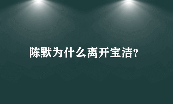 陈默为什么离开宝洁？