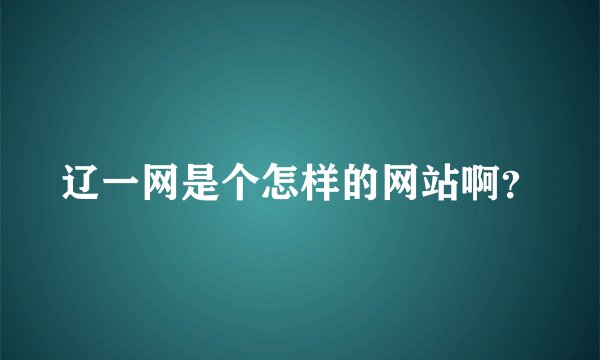 辽一网是个怎样的网站啊？