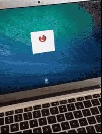 狗狗可以有多粘人?