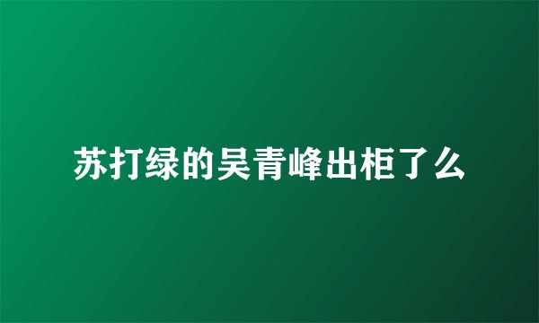苏打绿的吴青峰出柜了么