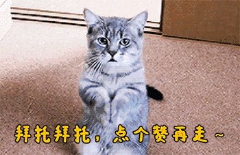 近期终于迎来油价下调，为啥感觉加油的人不增反减？
