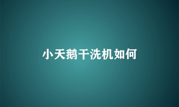 小天鹅干洗机如何