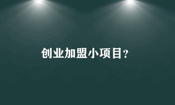 创业加盟小项目?