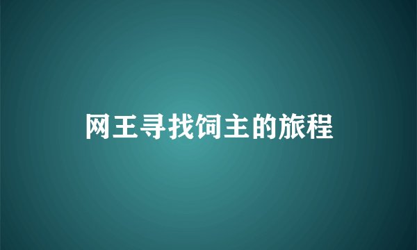 网王寻找饲主的旅程