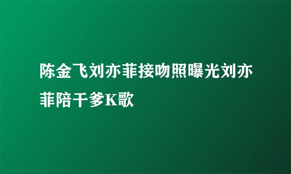 陈金飞刘亦菲接吻照曝光刘亦菲陪干爹K歌