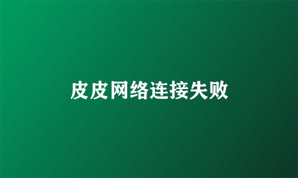皮皮网络连接失败