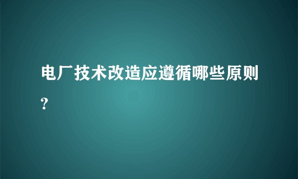 电厂技术改造应遵循哪些原则?