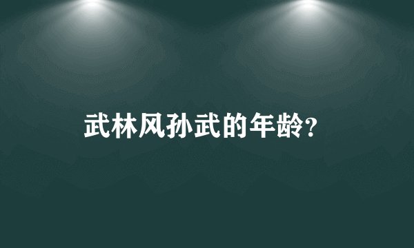 武林风孙武的年龄？