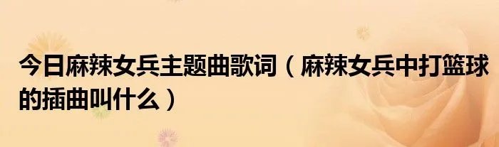 今日麻辣女兵主题曲歌词（麻辣女兵中打篮球的插曲叫什么）
