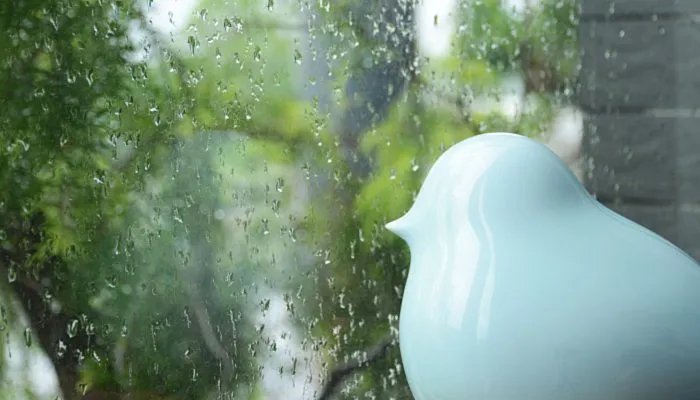 梅雨季节2022什么时间入梅 2022年梅雨季节起止时间