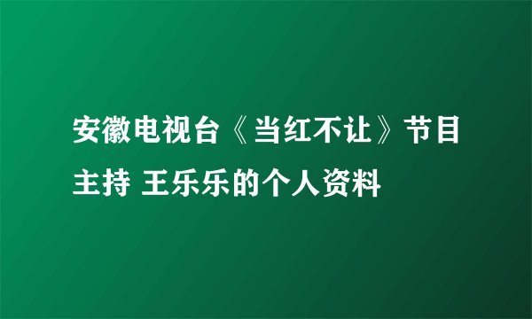安徽电视台《当红不让》节目主持 王乐乐的个人资料