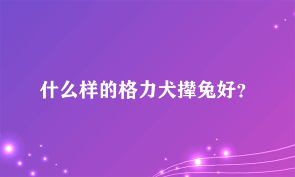 什么样的格力犬撵兔好？