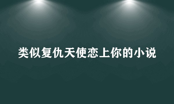 类似复仇天使恋上你的小说