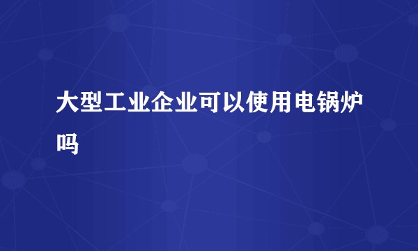大型工业企业可以使用电锅炉吗