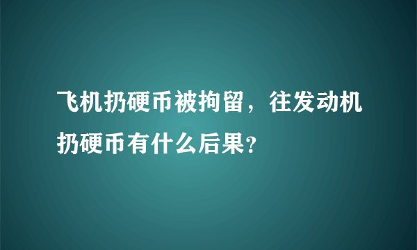 飞机扔硬币被拘留，往发动机扔硬币有什么后果？