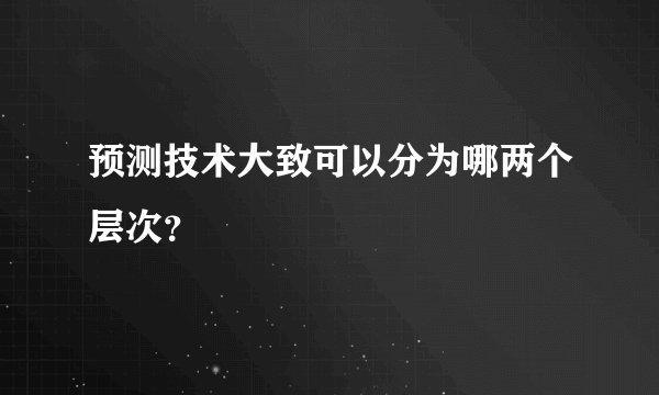 预测技术大致可以分为哪两个层次？