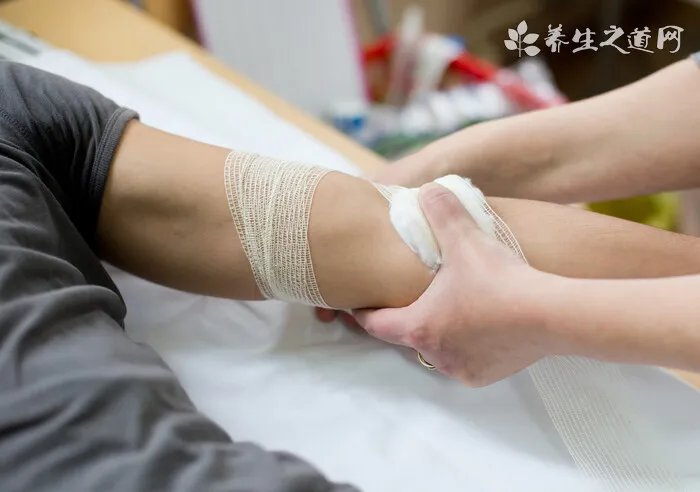养生的食物有哪些呢