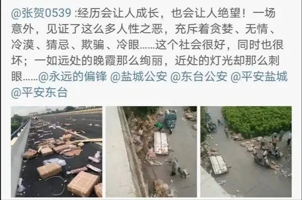 哄抢猪肉部分被追回冷库存放，他们需要承担法律责任吗？