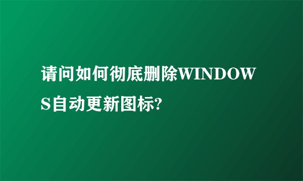 请问如何彻底删除WINDOWS自动更新图标?