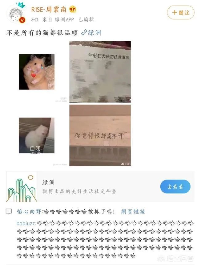 你知道哪些明星,在家养有什么样的宠物呢?