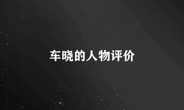车晓的人物评价