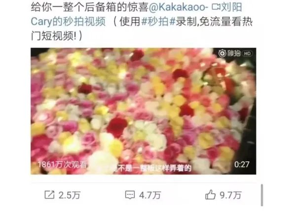 阿沁和刘阳在一起了5年,这5年他们分别有了哪些变化?