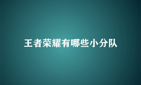 王者荣耀有哪些小分队