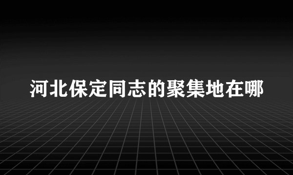 河北保定同志的聚集地在哪
